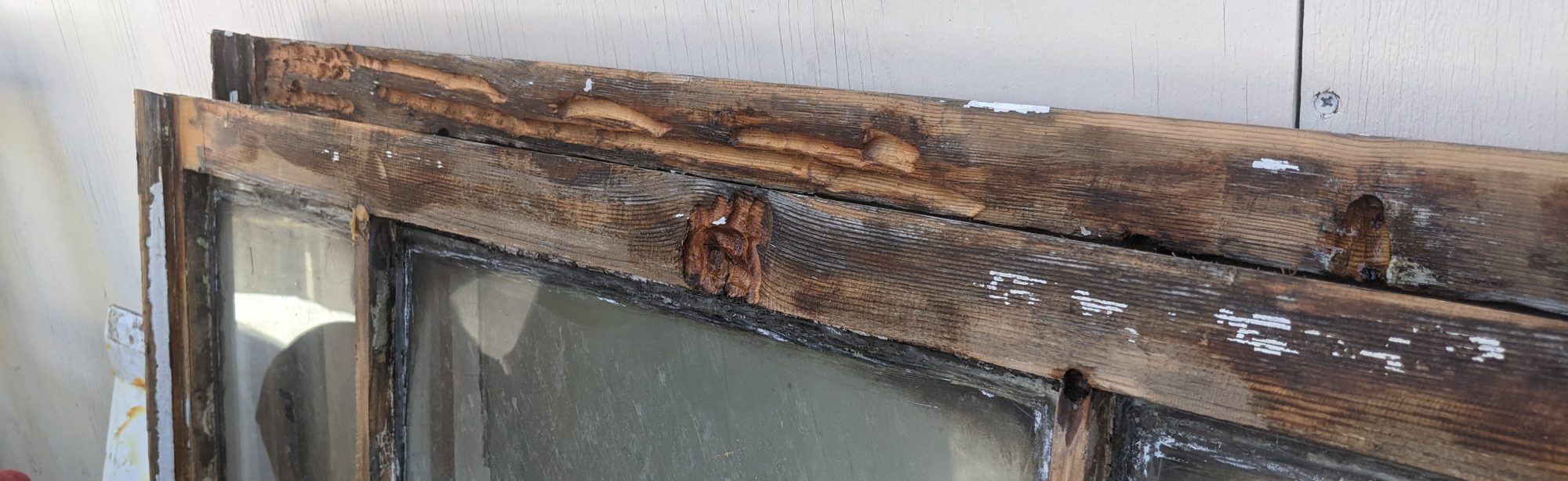 Timber rot repair: How to diagnose, restore, and protect wooden windows