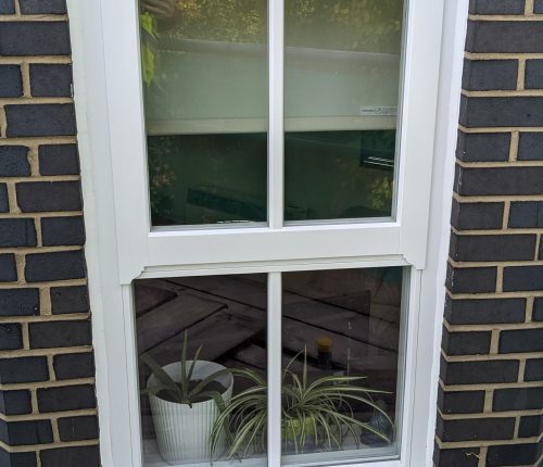 A white-framed window set in a brick wall reveals a glimpse of indoor plants, reflecting the sky and greenery outside.