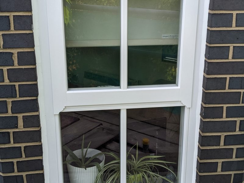 A white-framed window set in a brick wall reveals a glimpse of indoor plants, reflecting the sky and greenery outside.