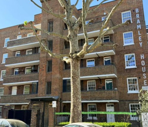 A wide exterior view of the red brick apartment complex, highlighting the balcony and window layout alongside a large mature tree in the front courtyard.