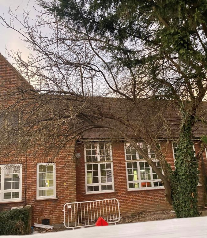 A leafless tree branch extends over a brick building with white-framed windows, surrounded by other greenery, against a dusky sky at Douay Martyrs Catholic School, Uxbridge