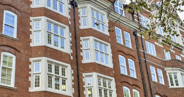 How long do timber windows last? Expert insights